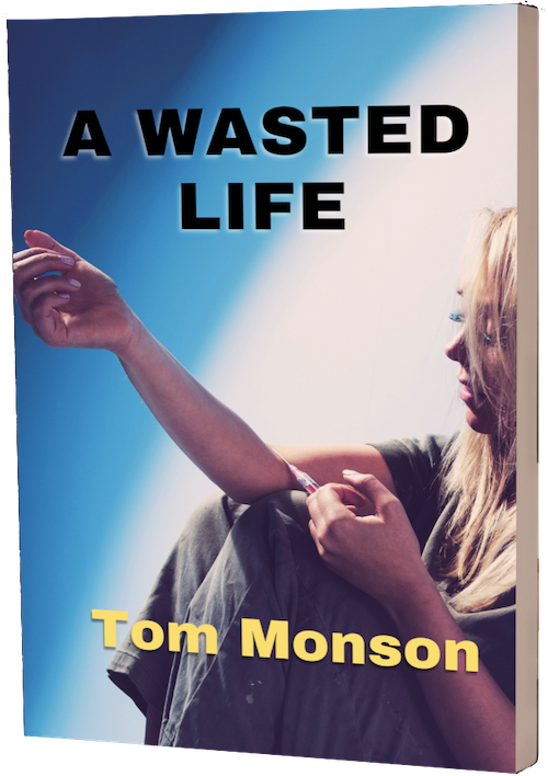 The book A Wasted Life